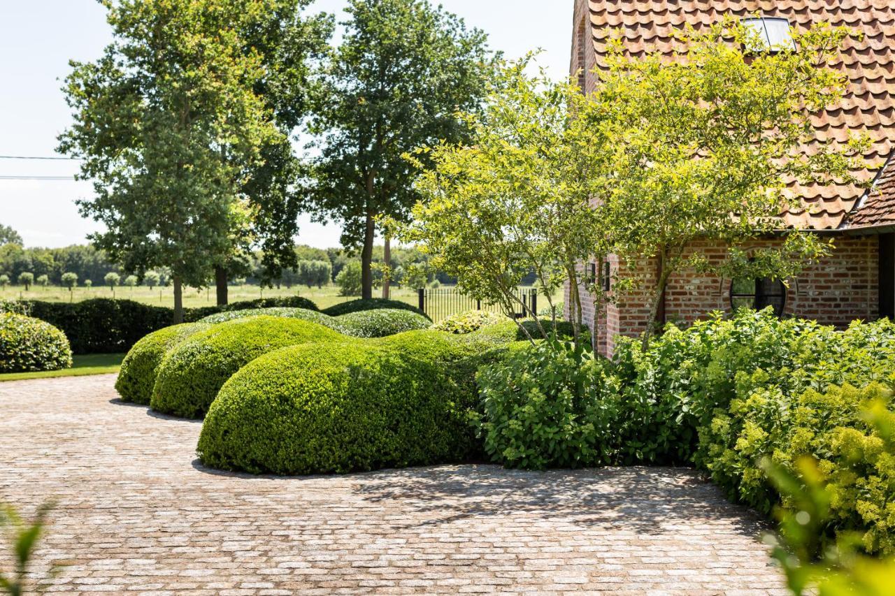 Hoeve Den Akker - Luxueuze Vakantiewoningen Met Privetuinen En Alpaca'S Nabij Brugge, Damme, Knokke, Sluis En Cadzand Exterior photo