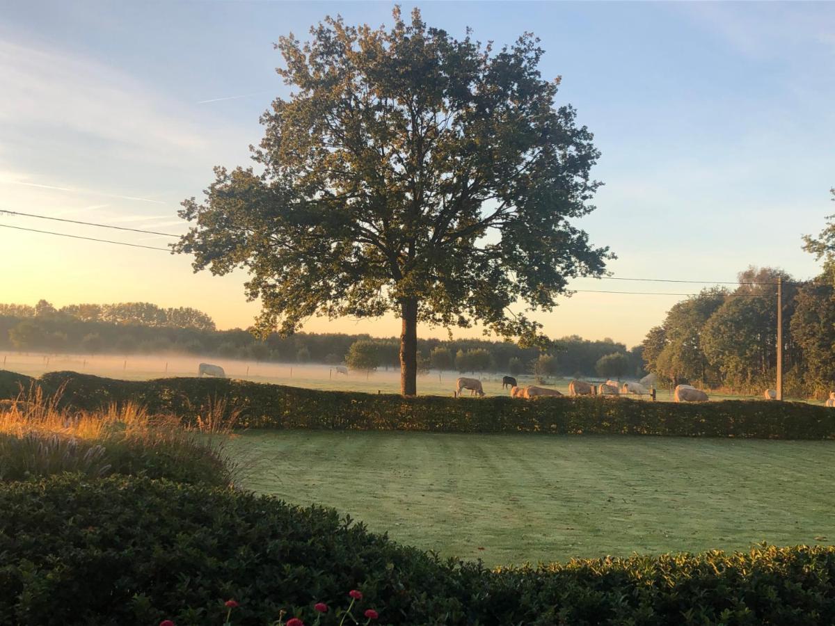 Hoeve Den Akker - Luxueuze Vakantiewoningen Met Privetuinen En Alpaca'S Nabij Brugge, Damme, Knokke, Sluis En Cadzand Exterior photo