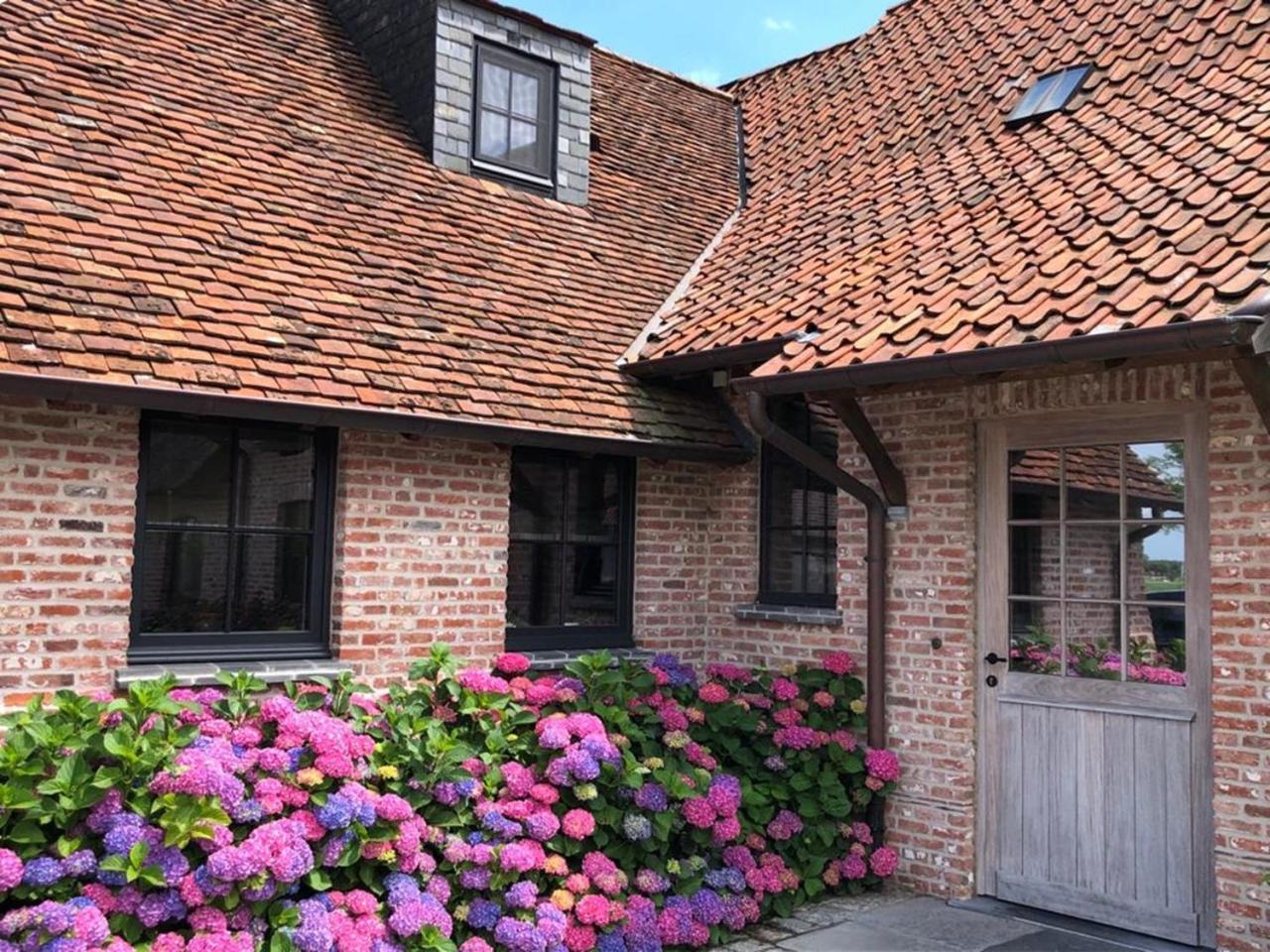 Hoeve Den Akker - Luxueuze Vakantiewoningen Met Privetuinen En Alpaca'S Nabij Brugge, Damme, Knokke, Sluis En Cadzand Exterior photo