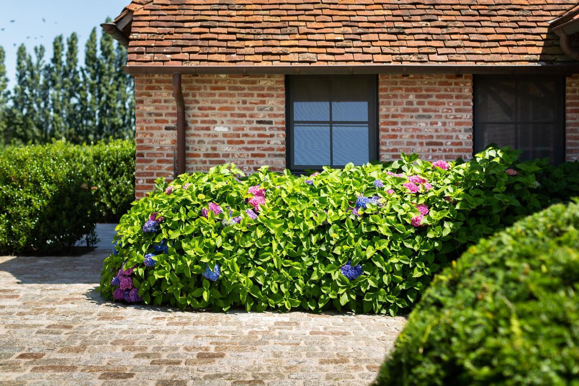 Hoeve Den Akker - Luxueuze Vakantiewoningen Met Privetuinen En Alpaca'S Nabij Brugge, Damme, Knokke, Sluis En Cadzand Exterior photo