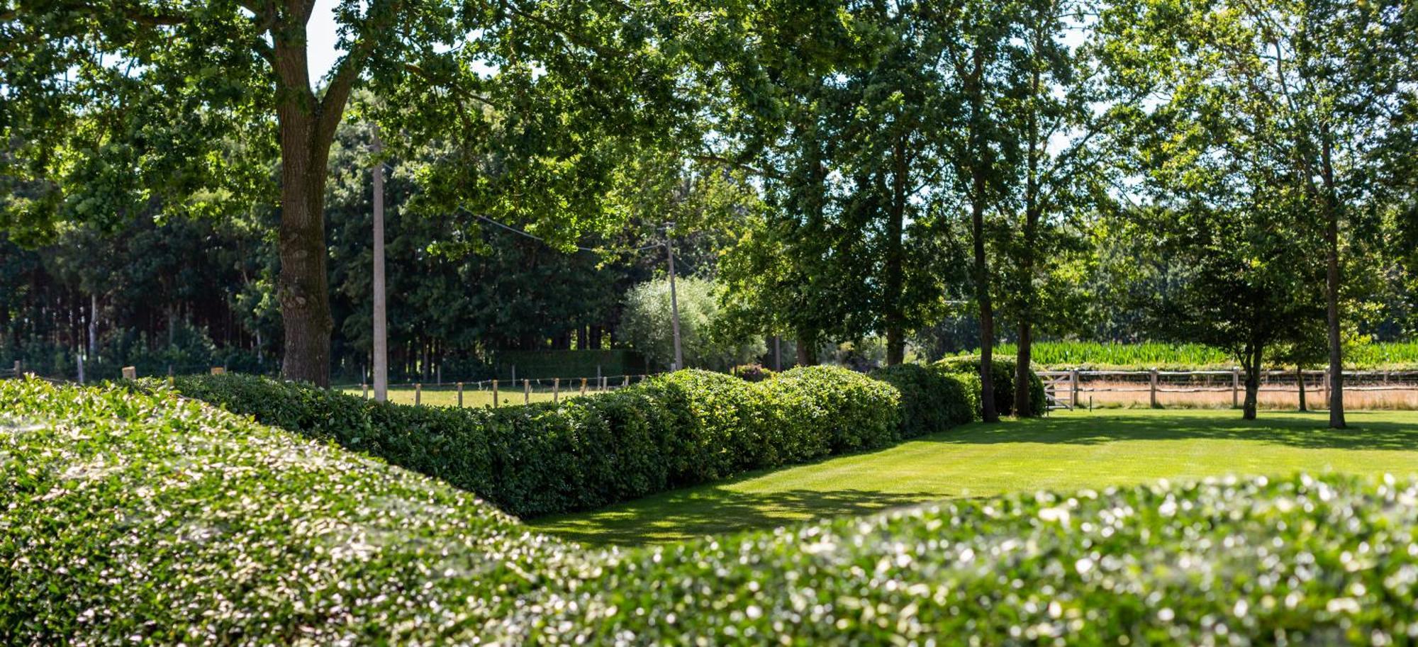 Hoeve Den Akker - Luxueuze Vakantiewoningen Met Privetuinen En Alpaca'S Nabij Brugge, Damme, Knokke, Sluis En Cadzand Exterior photo